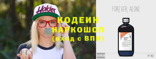 шишки Нягань